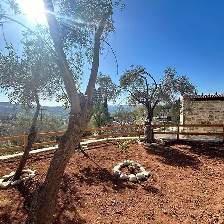 Feriehus Sotiris Palace Amargeti