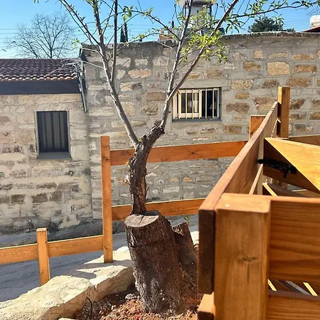 Sotiris Palace * Amargeti