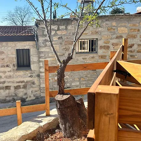 Sotiris Palace * Amargeti