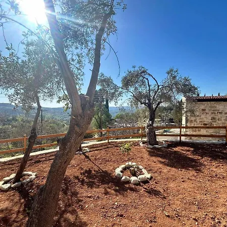 Sotiris Palace Amargeti